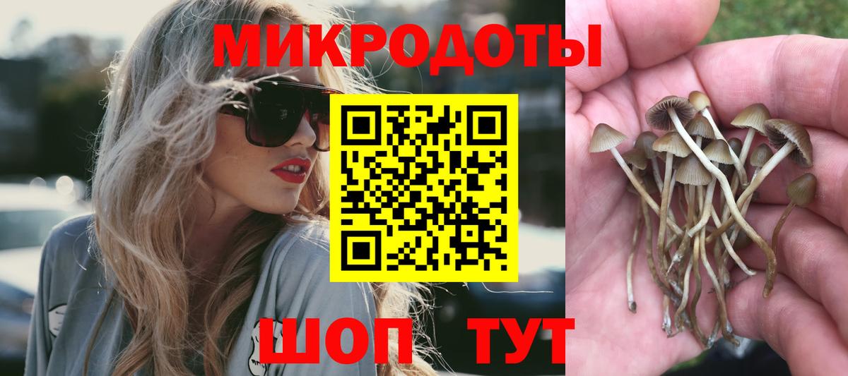 Псилоцибиновые грибы MAGIC MUSHROOMS Горячий Ключ